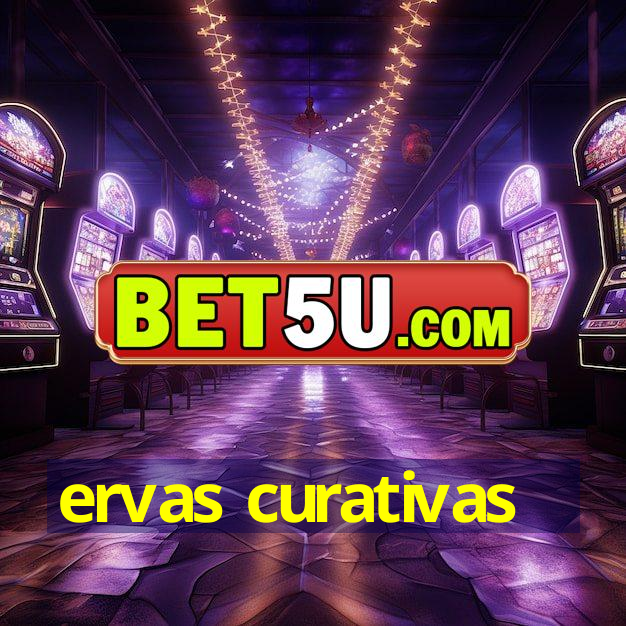 ervas curativas